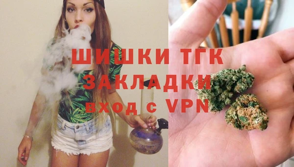 сатива Куйбышев