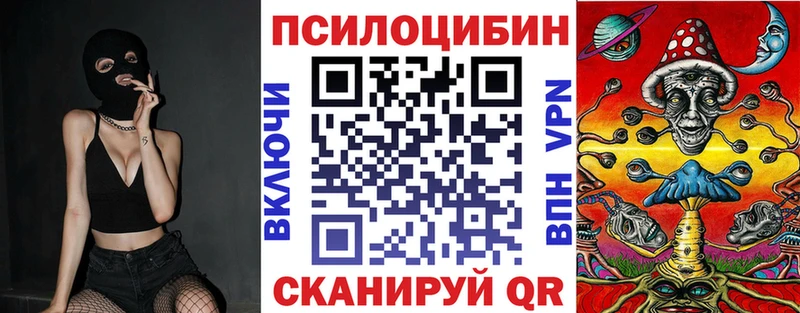 купить наркоту  Алупка  Галлюциногенные грибы Cubensis 